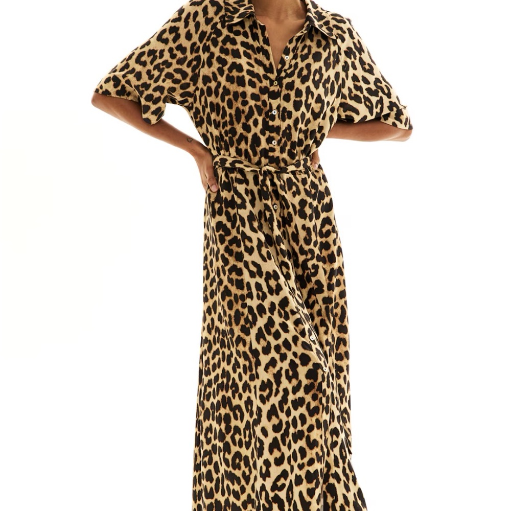 Leopard Print Maxi Dress
